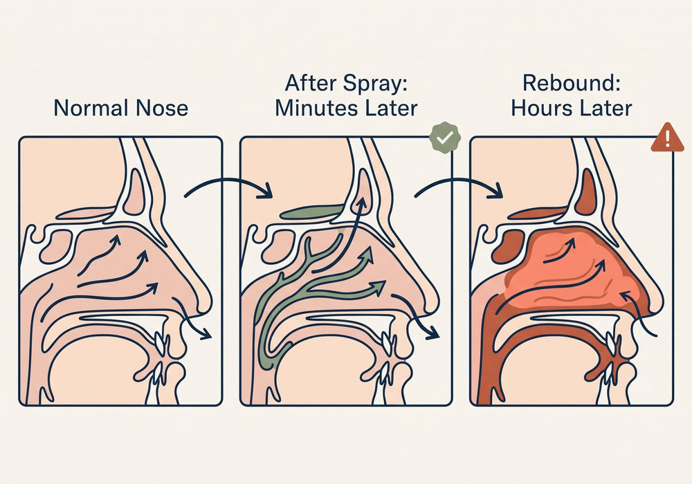 Mendable DualLight Pro guide: normal nose, after a spray, rebound congestion